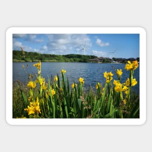 Queen Elizabeth II Country Park, Ashington Sticker